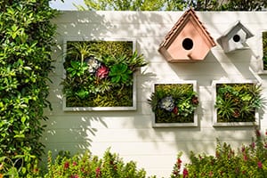 Decorated wall vertical garden, Background.