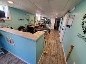 Groomers inside with blue walls